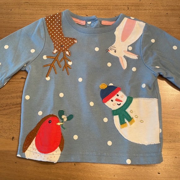 Baby Boden Other - Baby Boden Winter Aplique Shirt